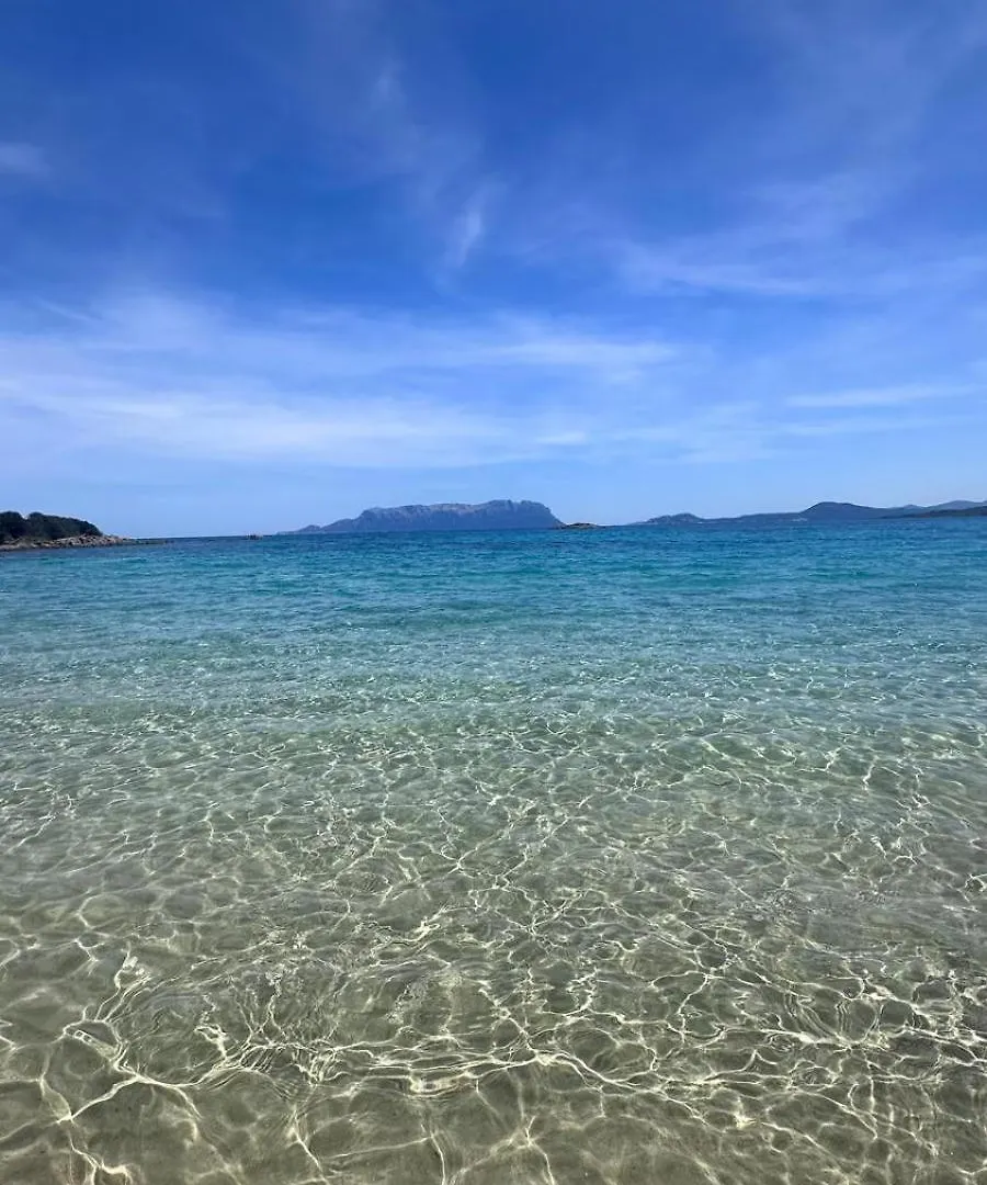 Stella Marina Apartment Olbia